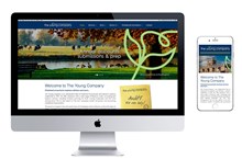 The Young Company Mobile Responsive Website Design